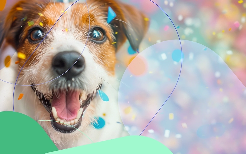 DogmoPharm Webáruház