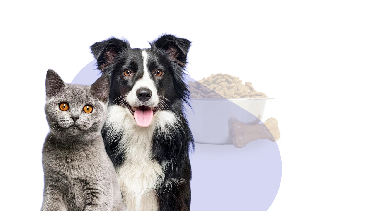 DogmoPharm Webáruház
