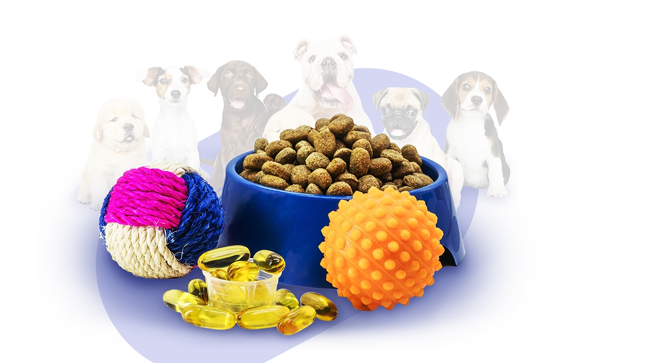 DogmoPharm Webáruház