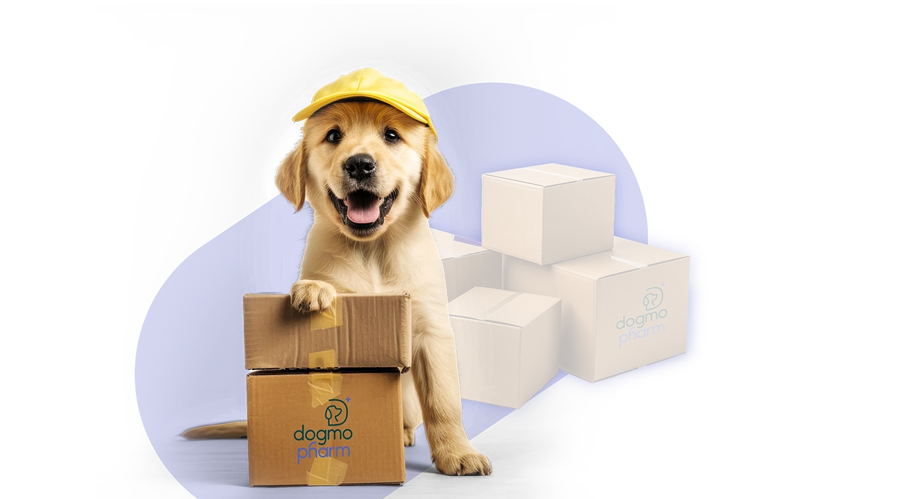 DogmoPharm Webáruház
