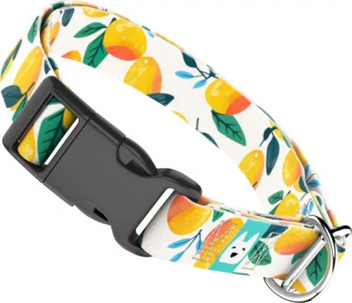 April&June mangó mintás nyakörv