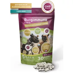 Burgimmune Forte Prémium Immunerősítő Tabletta 30 db