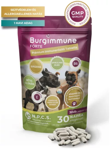 Burgimmune Forte Prémium Immunerősítő Tabletta 30 db