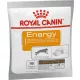 Royal Canin Energy 50 g