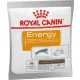 Royal Canin Energy 50 g KARTON - 30 db