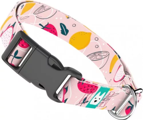 April&June Nyári Gyümölcsök nyakörv