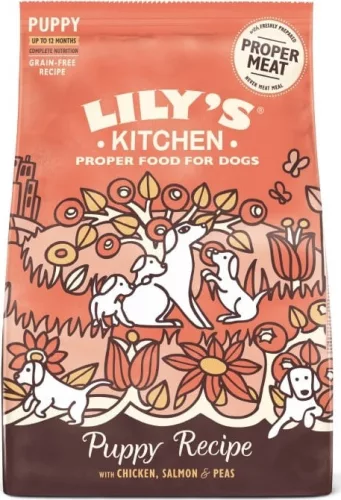 Lily's Kitchen Dog Chicken & Salmon Puppy Recipe Dry Food 1 kg