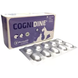 Cognidine 60 db