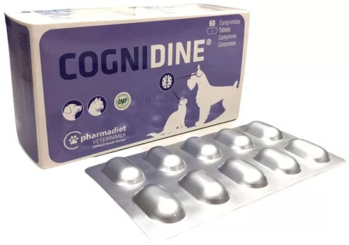 Cognidine 60 db