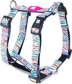 Max & Molly H-hám - Magic Zebra - XS