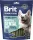 Brit Premium by Nature Dog DENTAL Snacks L 250 g