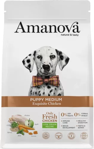 AmaNova Dog LG Medium Puppy Exquisite Chicken & Quinoa 2 kg