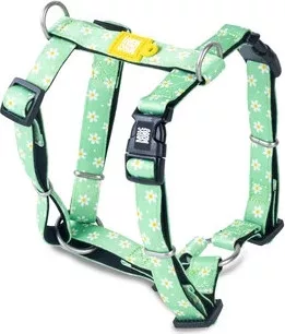 Max & Molly H-hám - Margarite - M