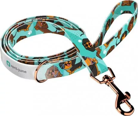 April&June Tacskó kék póráz