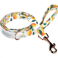 April&June mangó mintás póráz