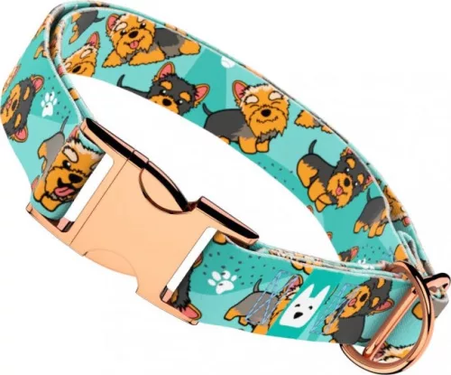 April&June Yorkie kék nyakörv