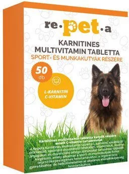 Repeta karnitin multivitamin 50 db