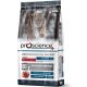 ProScience Adult Cat Salmon 15 kg