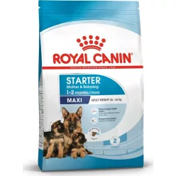 Royal Canin Maxi Starter & Babydog 4 kg
