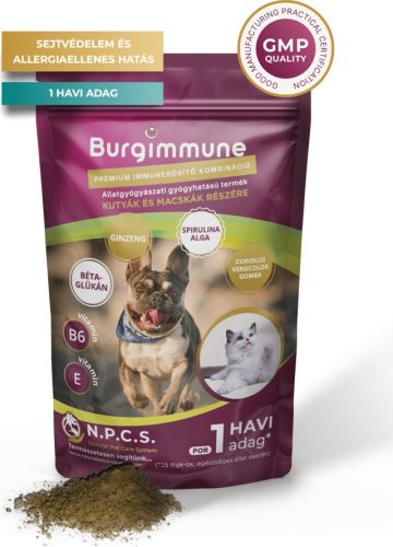 Burgimmune Prémium Immunerősítő Kombináció por alakban 45 g