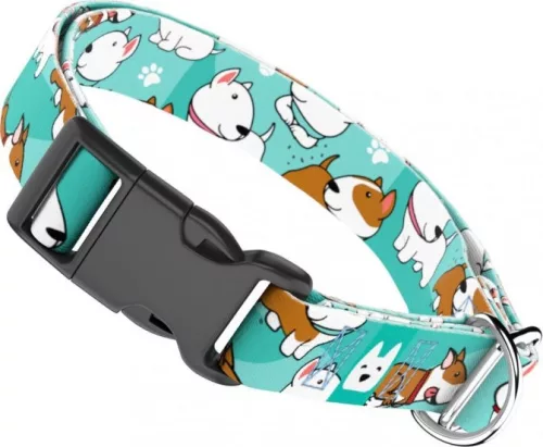 April&June Bullterrier kék nyakörv