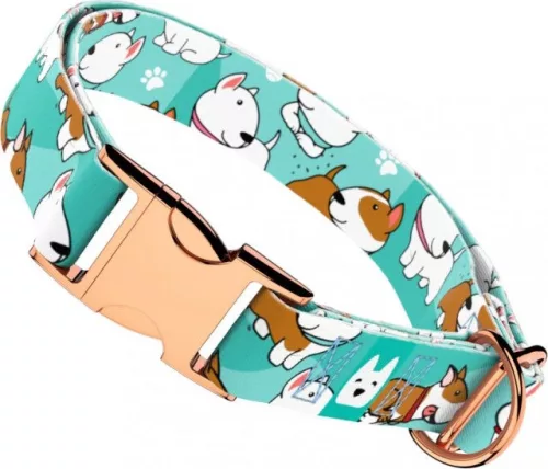 April&June Bullterrier kék nyakörv