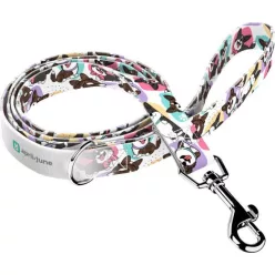 April&June Cardigan Welsh Corgi póráz