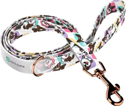 April&June Cardigan Welsh Corgi póráz