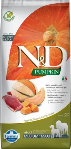 N&D Pumpkin Dog kacsa & sütőtök, sárgadinnye adult mini 2 kg 