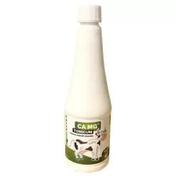 Calcium Magnesium Tonicum 500 ml