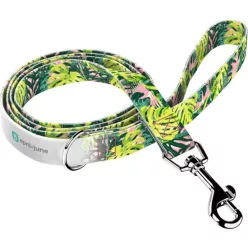 April&June Monstera Levelek rózsaszín póráz