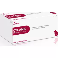 Cylanic 250 + 62,5mg 100 db