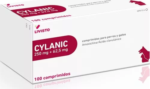 Cylanic 250 + 62,5mg 100 db