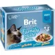 Brit Premium Cat Tasakos Delicate Fillets in Gravy Family Plate 12 x 85 g