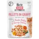Brit Care Cat Fillets in Gravy With Tender Turkey & Savory Salmon 4x85 g