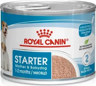 Royal Canin Starter Mousse 12x195 g