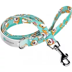 April&June Shiba Inu kék póráz