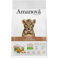 AmaNova Cat LG Kitten Exquisite Chicken & Quinoa 4 kg