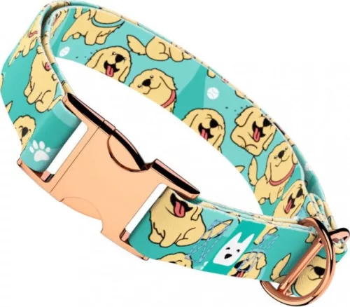 April&June Golden Retriever kék nyakörv