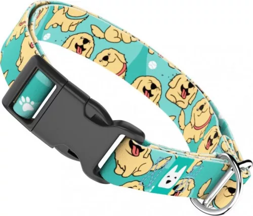 April&June Golden Retriever kék nyakörv