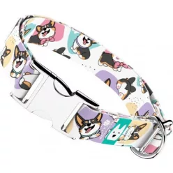 April&June Pembroke Welsh Corgi trikolor trikolor nyakörv