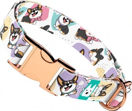 April&June Pembroke Welsh Corgi trikolor trikolor nyakörv