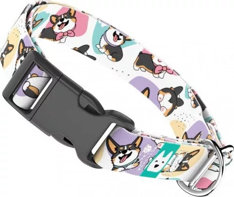 April&June Pembroke Welsh Corgi trikolor trikolor nyakörv