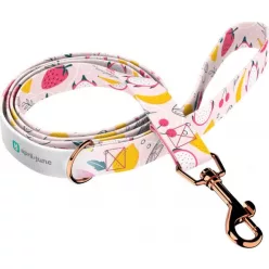 April&June Nyári Gyümölcsök póráz