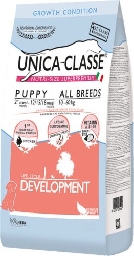 Gheda Unica Classe Adult Puppy All Breeds Development 10 kg