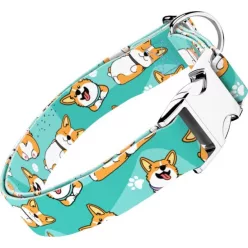 April&June Pembroke Welsh Corgi kék nyakörv