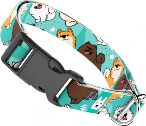 April&June Spitz kék nyakörv