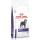 Royal Canin Adult Large 13 kg