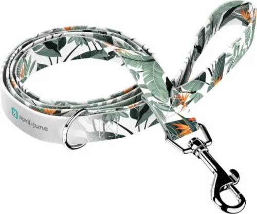 April&June papagájvirág mintás póráz