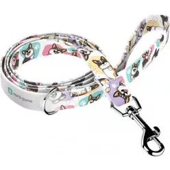 April&June Pembroke Welsh Corgi trikolor trikolor póráz